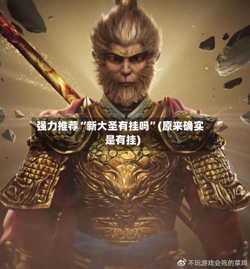 强力推荐“新大圣有挂吗	”(原来确实是有挂)-第1张图片