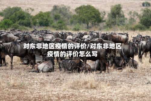 对东非地区疫情的评价/对东非地区疫情的评价怎么写-第1张图片