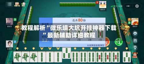 教程解析“微乐填大坑开挂神器下载”最新辅助详细教程-第1张图片