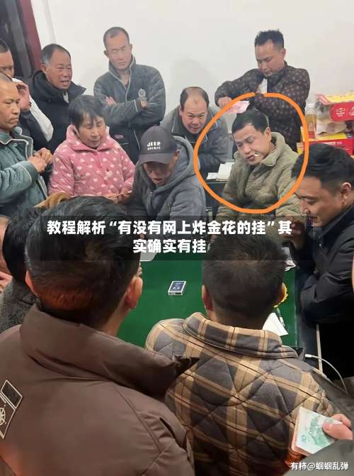 教程解析“有没有网上炸金花的挂	”其实确实有挂-第3张图片