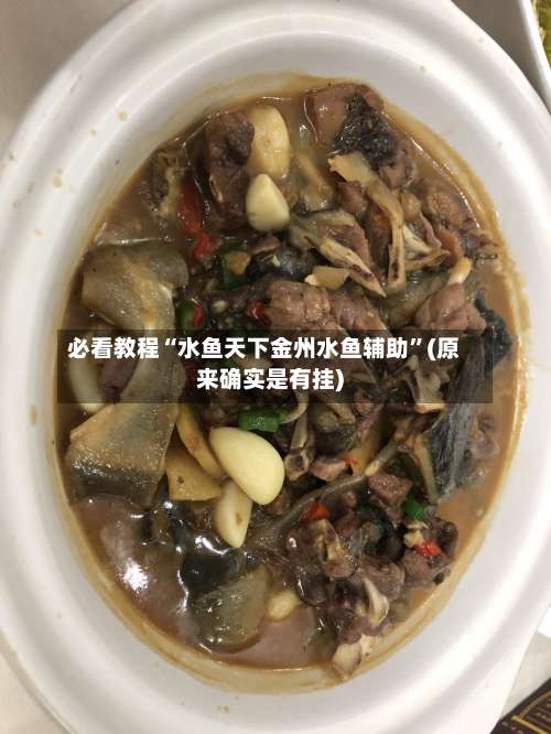 必看教程“水鱼天下金州水鱼辅助”(原来确实是有挂)-第1张图片