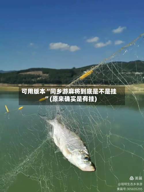 可用版本“同乡游麻将到底是不是挂	”(原来确实是有挂)-第1张图片