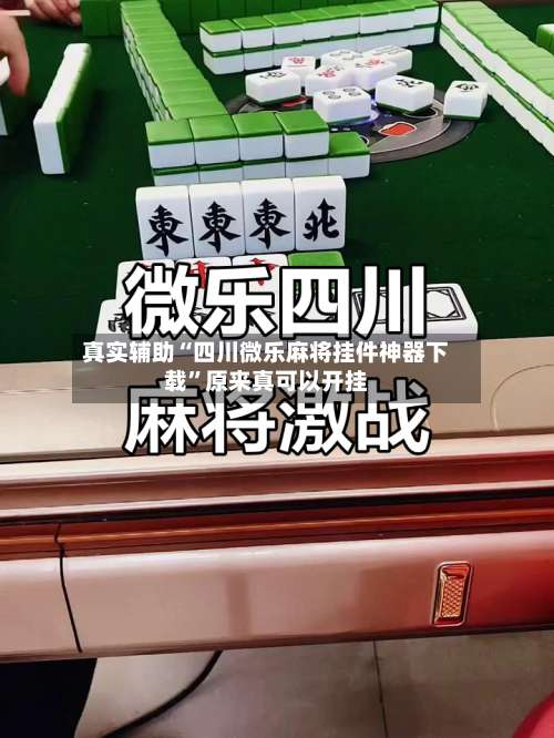 真实辅助“四川微乐麻将挂件神器下载	”原来真可以开挂-第1张图片