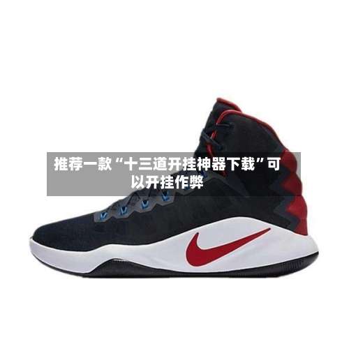 推荐一款“十三道开挂神器下载”可以开挂作弊-第1张图片