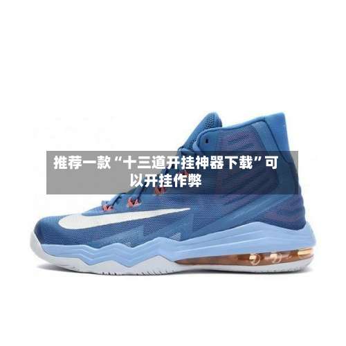 推荐一款“十三道开挂神器下载	”可以开挂作弊-第2张图片