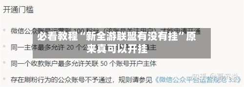 必看教程“新全游联盟有没有挂”原来真可以开挂-第2张图片