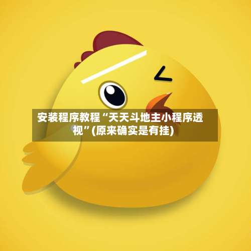 安装程序教程“天天斗地主小程序透视”(原来确实是有挂)-第1张图片