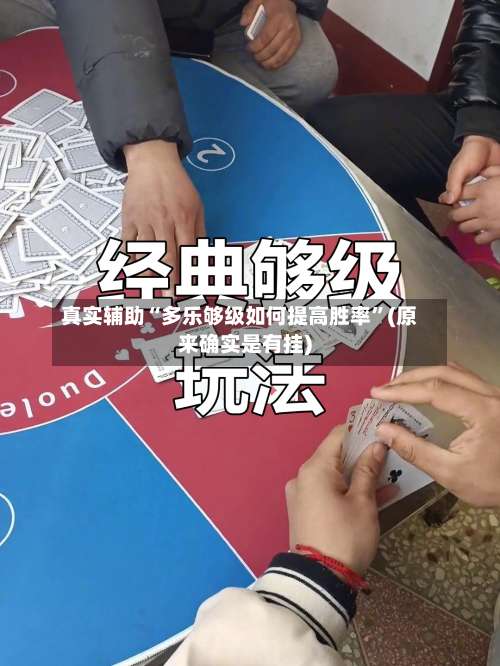 真实辅助“多乐够级如何提高胜率	”(原来确实是有挂)-第2张图片