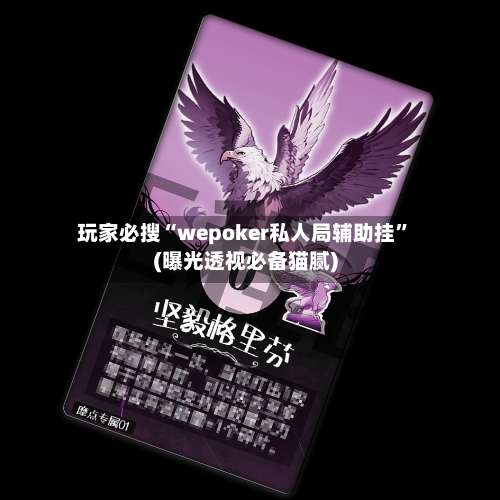 玩家必搜“wepoker私人局辅助挂”(曝光透视必备猫腻)-第2张图片