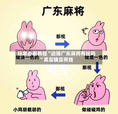 玩家必看教程“边锋广东麻将有挂吗”其实确实有挂-第2张图片