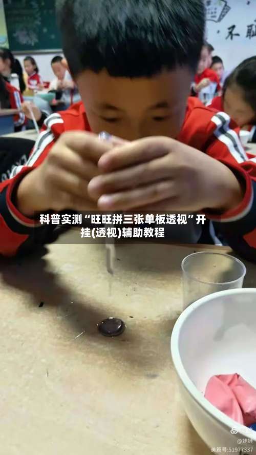 科普实测“旺旺拼三张单板透视”开挂(透视)辅助教程-第2张图片