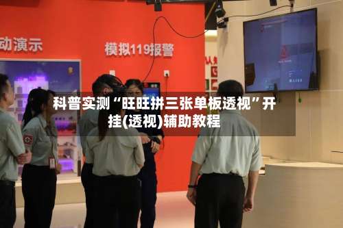 科普实测“旺旺拼三张单板透视	”开挂(透视)辅助教程-第1张图片