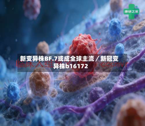 新变异株BF.7或成全球主流／新冠变异株b16172-第2张图片