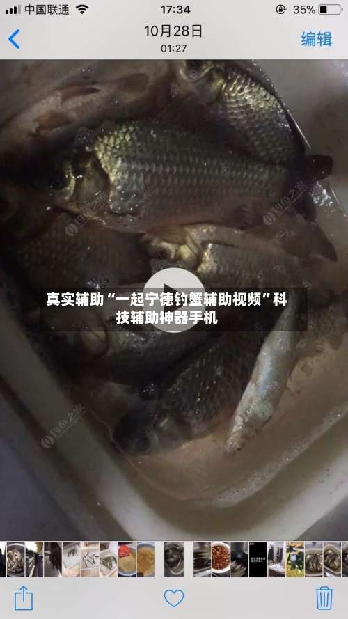 真实辅助“一起宁德钓蟹辅助视频	”科技辅助神器手机-第1张图片