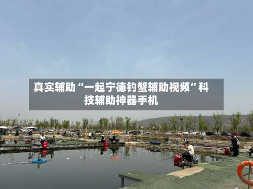 真实辅助“一起宁德钓蟹辅助视频”科技辅助神器手机-第2张图片