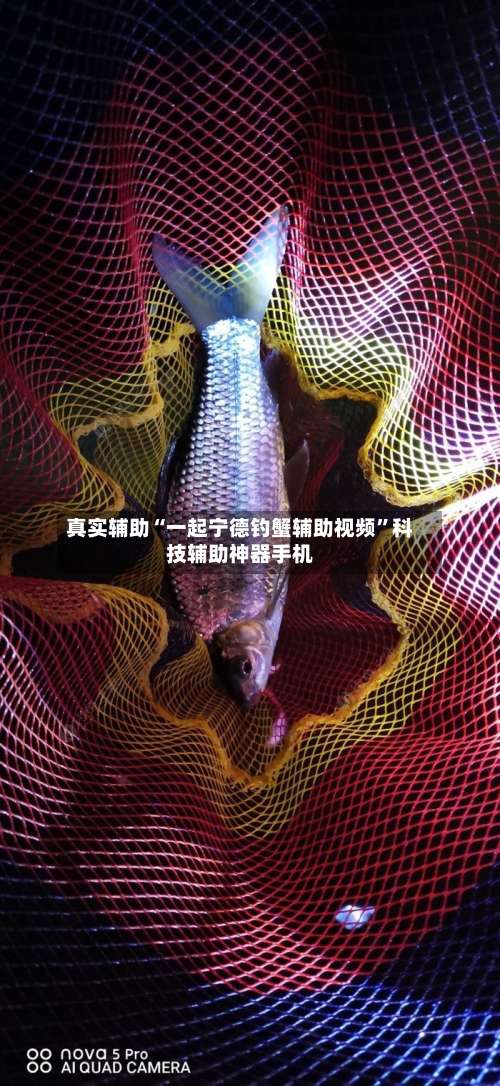 真实辅助“一起宁德钓蟹辅助视频”科技辅助神器手机-第3张图片