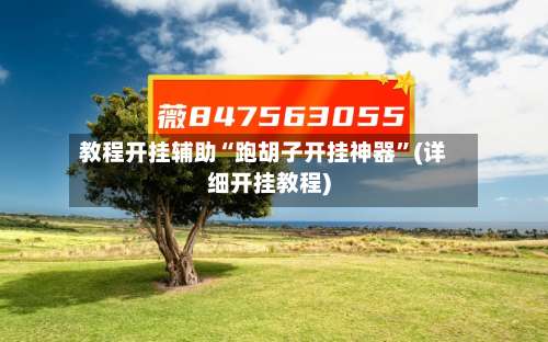 教程开挂辅助“跑胡子开挂神器	”(详细开挂教程)-第1张图片