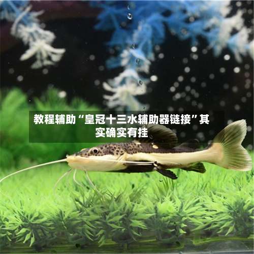 教程辅助“皇冠十三水辅助器链接	”其实确实有挂-第1张图片