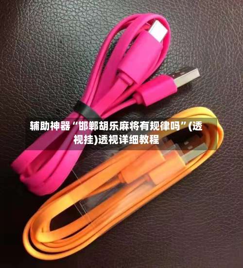 辅助神器“邯郸胡乐麻将有规律吗”(透视挂)透视详细教程-第2张图片