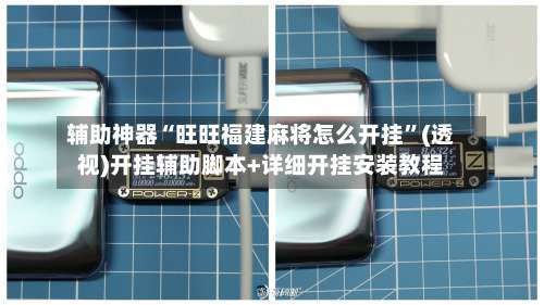 辅助神器“旺旺福建麻将怎么开挂”(透视)开挂辅助脚本+详细开挂安装教程-第2张图片