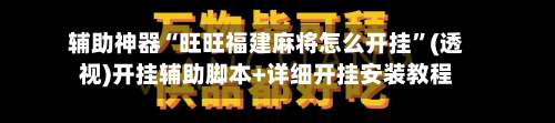 辅助神器“旺旺福建麻将怎么开挂	”(透视)开挂辅助脚本+详细开挂安装教程-第3张图片