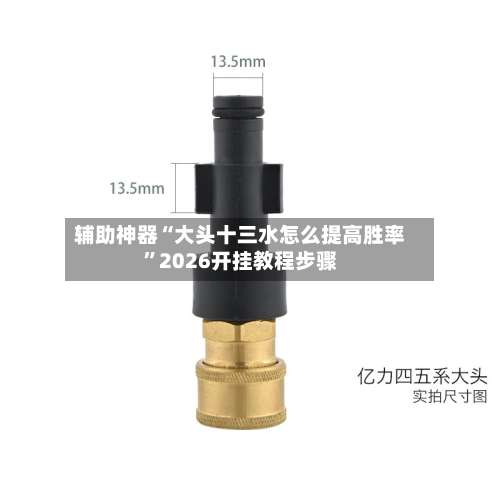 辅助神器“大头十三水怎么提高胜率	”2026开挂教程步骤-第1张图片