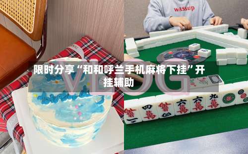 限时分享“和和呼兰手机麻将下挂”开挂辅助-第1张图片