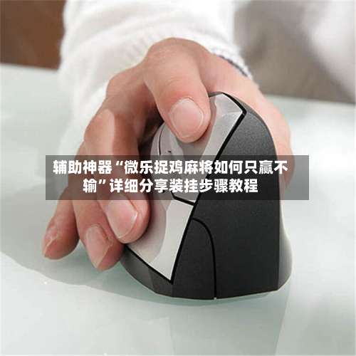 辅助神器“微乐捉鸡麻将如何只赢不输	”详细分享装挂步骤教程-第2张图片