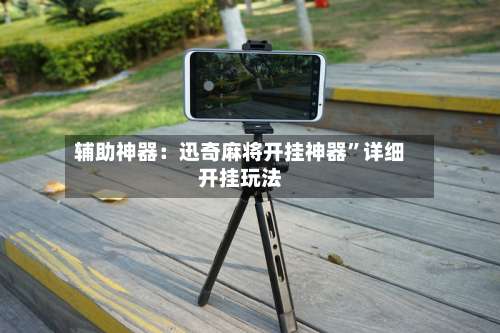 辅助神器：迅奇麻将开挂神器”详细开挂玩法-第1张图片