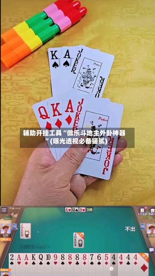 辅助开挂工具“微乐斗地主外卦神器”(曝光透视必备猫腻)-第1张图片