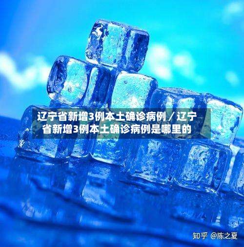 辽宁省新增3例本土确诊病例／辽宁省新增3例本土确诊病例是哪里的-第1张图片