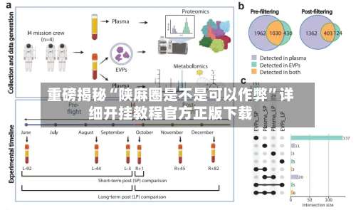 重磅揭秘“陕麻圈是不是可以作弊”详细开挂教程官方正版下载-第2张图片