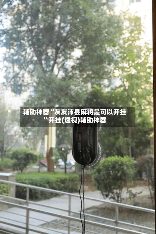 辅助神器“友友沛县麻将是可以开挂”开挂(透视)辅助神器-第2张图片