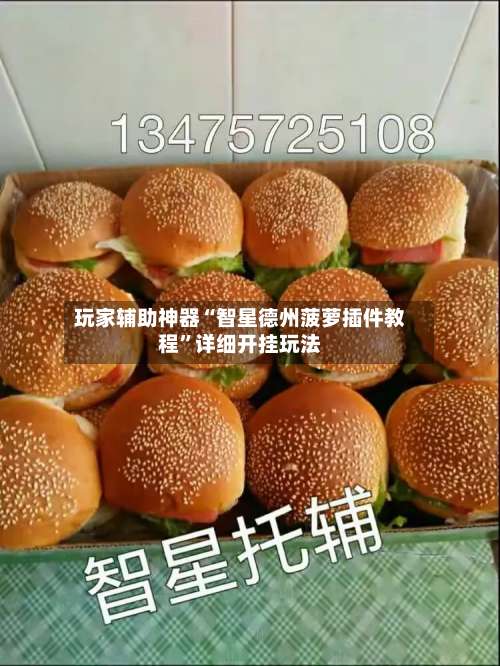 玩家辅助神器“智星德州菠萝插件教程”详细开挂玩法-第2张图片