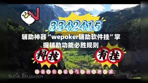 辅助神器“wepoker辅助软件挂”掌握辅助功能必胜规则-第3张图片
