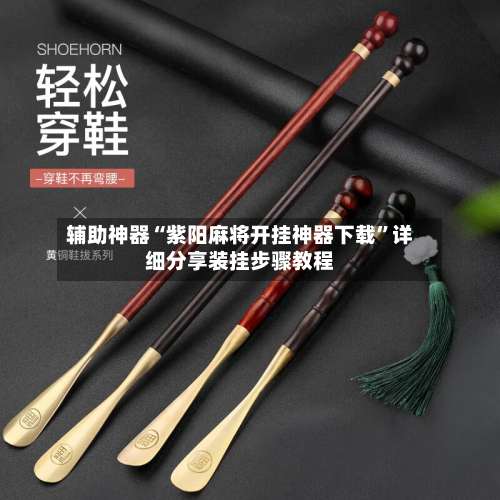 辅助神器“紫阳麻将开挂神器下载	”详细分享装挂步骤教程-第3张图片