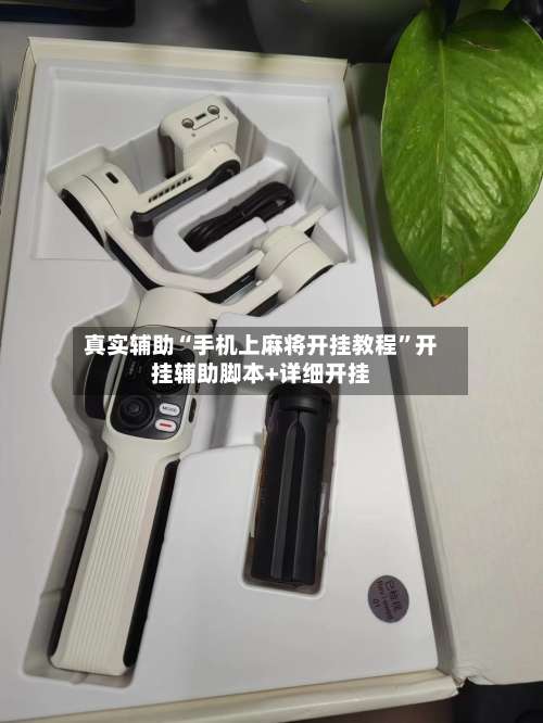 真实辅助“手机上麻将开挂教程	”开挂辅助脚本+详细开挂-第2张图片