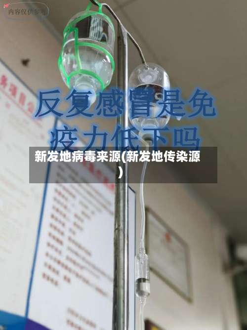 新发地病毒来源(新发地传染源)-第1张图片