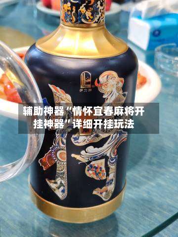 辅助神器“情怀宜春麻将开挂神器”详细开挂玩法-第3张图片