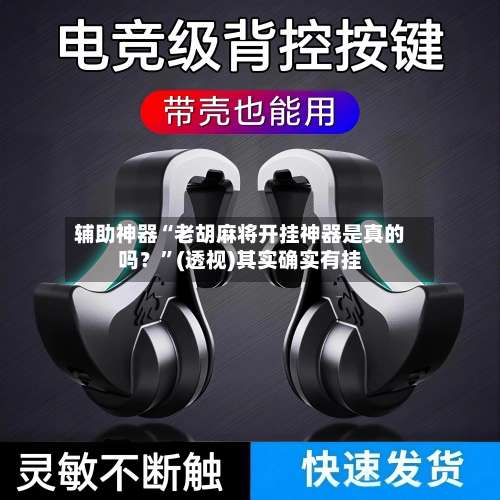 辅助神器“老胡麻将开挂神器是真的吗？”(透视)其实确实有挂-第2张图片