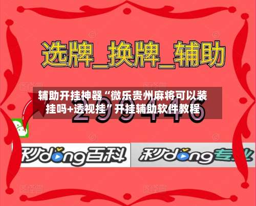 辅助开挂神器“微乐贵州麻将可以装挂吗+透视挂”开挂辅助软件教程-第1张图片