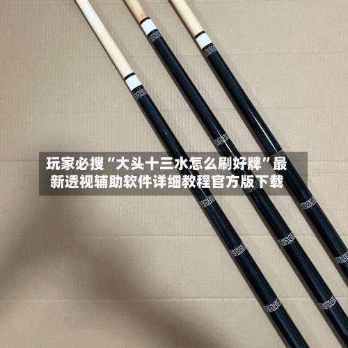 玩家必搜“大头十三水怎么刷好牌”最新透视辅助软件详细教程官方版下载-第2张图片