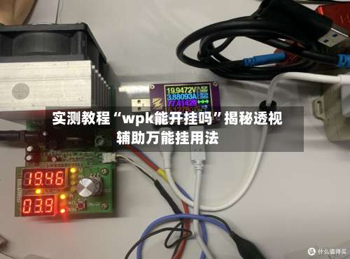 实测教程“wpk能开挂吗”揭秘透视辅助万能挂用法-第1张图片