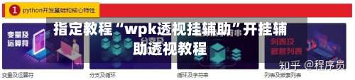 指定教程“wpk透视挂辅助	”开挂辅助透视教程-第2张图片