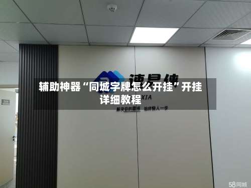 辅助神器“同城字牌怎么开挂	”开挂详细教程-第2张图片