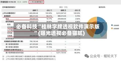 必备科技“桂林字牌透视软件演示版”(曝光透视必备猫腻)-第2张图片
