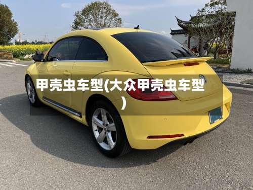 甲壳虫车型(大众甲壳虫车型)-第2张图片