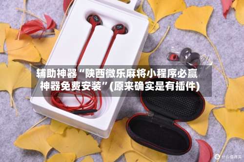 辅助神器“陕西微乐麻将小程序必赢神器免费安装”(原来确实是有插件)-第3张图片