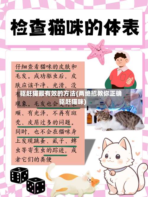 驱赶猫最有效的方法(两绝招教你正确驱赶猫咪)-第1张图片