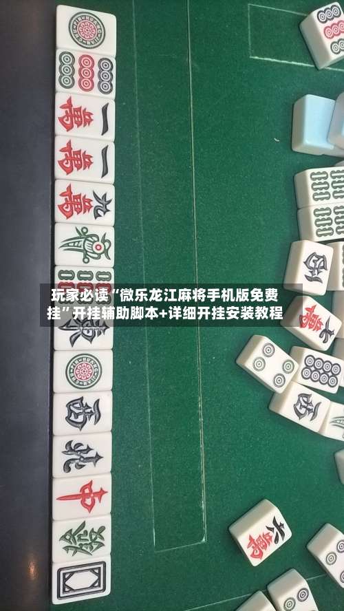 玩家必读“微乐龙江麻将手机版免费挂”开挂辅助脚本+详细开挂安装教程-第2张图片